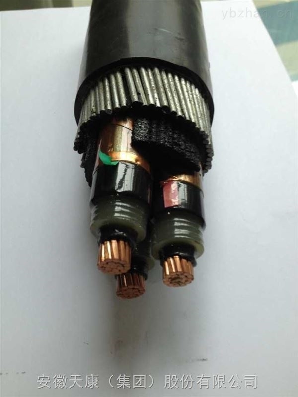 安徽天康高壓電纜：電力傳輸?shù)膭用}，助力現(xiàn)代能源網(wǎng)絡(luò)發(fā)展